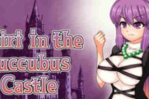 【ACT/动态/休闲/官方中文/PC】圣白莲与淫魔魔城【400M】